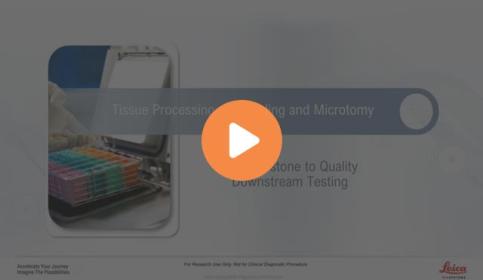 tissue-processing-a-cornerstone-to-quality-downstream-testing-640x410