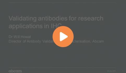 validating-antibodies-for-research-applications-in-ihc-640x410