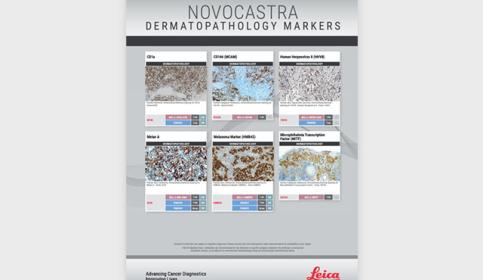 Dermatopathology