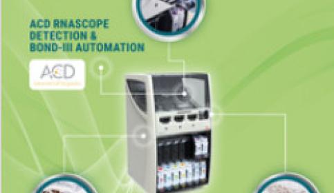 a-fully-automated-ce-ivd-rna-ish-solution-250x510