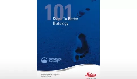 101Steps_640X410