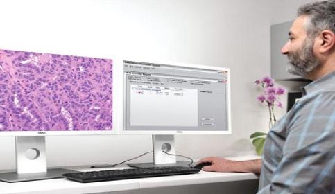GT450-Pathologist-Monitors-450x340