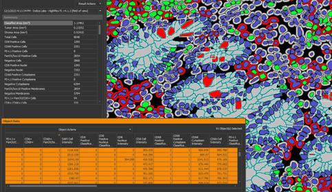Analyze-page-Image-2