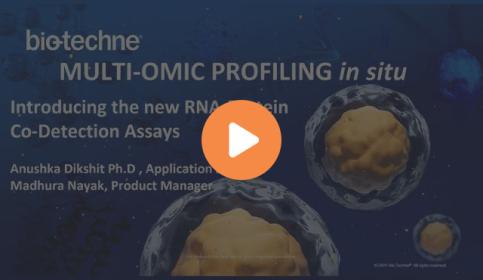 introducing-new-rna-protein-co-detection-assays-640x410