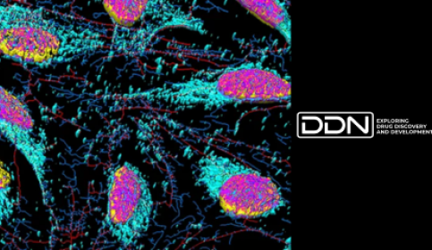 Drug Discovery Future of Spatial Biology
