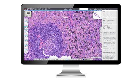 Aperio-HALO-AP-DX-Manage-subcat