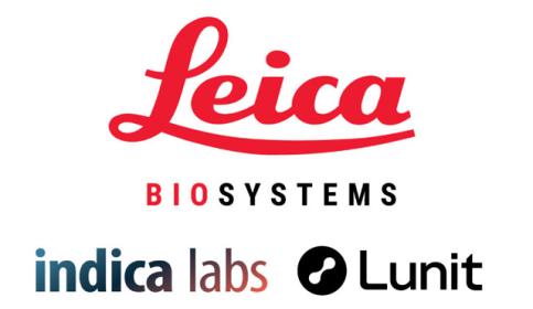 Lunit-SCOPE-PD-L1-CAL10-Algorithm-press-release