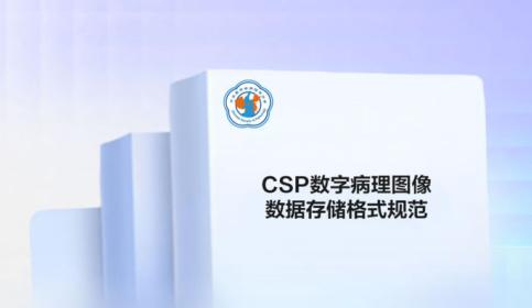 CSP-Storage-Format-Specification