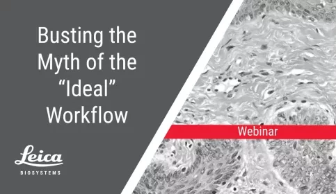 Busting the Myth of the Ideal Workflow Webinar Thumbnail