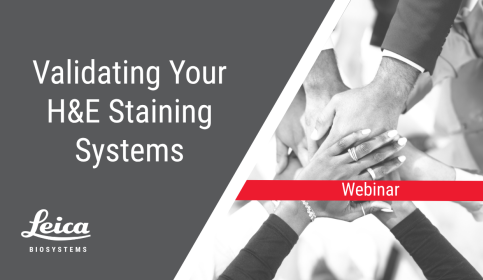 Validating Your H&E Staining Systems Webinar Thumbnail