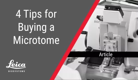Four Tips for Buying A Microtome Article Thumbnail