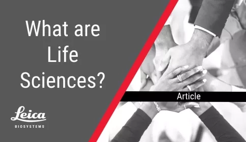 What Are Life Sciences Article Thumbnail