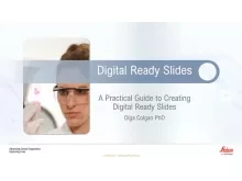 digital-ready-slides-640x480