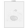 aperio-iqc-AirBubble2