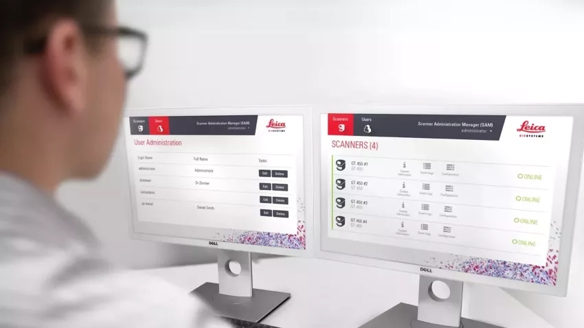 IT Professional Login Screen