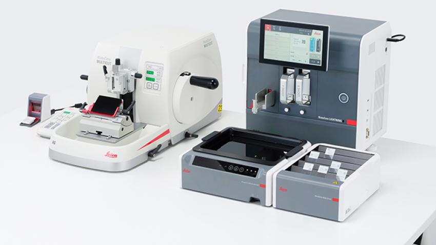 Optimized design and sectioning workflow