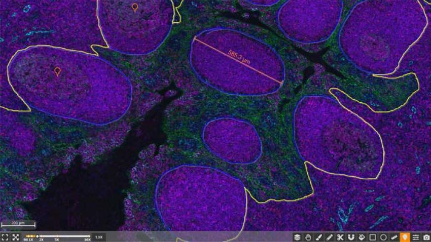 HALO-Annotation-Tools​