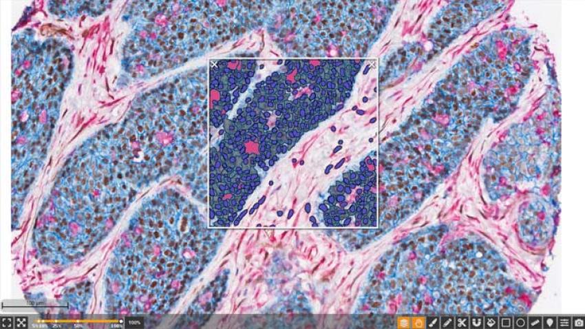 HALO-Real-Time-Tuning