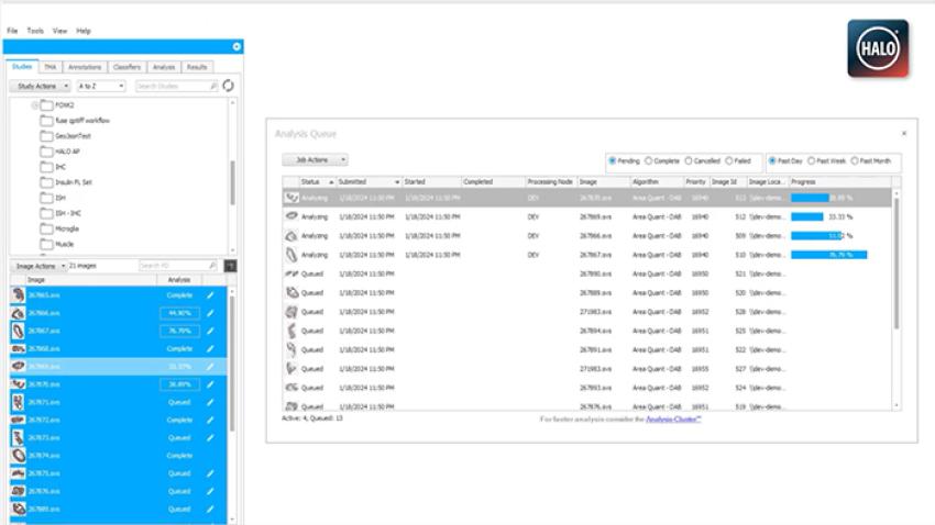 HALO-Your-Analysis-Your-Way
