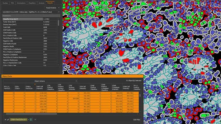 halo-Extensive-Analytics-Reliable-Results​