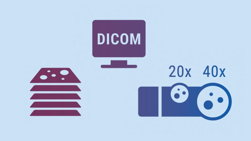 Additional-advanced-features-700x400