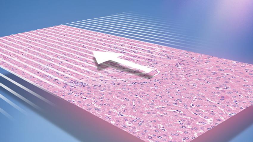 Default-Calibration-Point-700x400