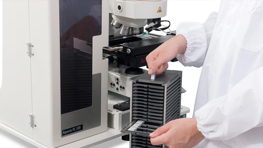 Exceptional-Ease-of-use-2