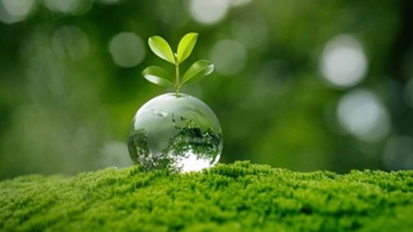 Reduce-Environmental-impact