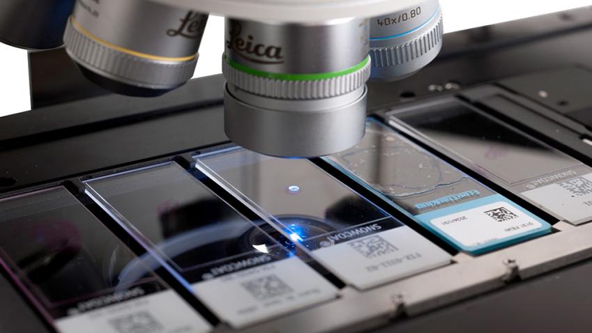 Aperio FL Systems - Brightfield, Fluorescent & FISH Scanning