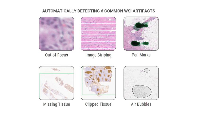Still Inspecting Slides by Eye? There’s a Smarter Way