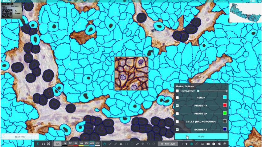 halo-link-Interactive-Markup