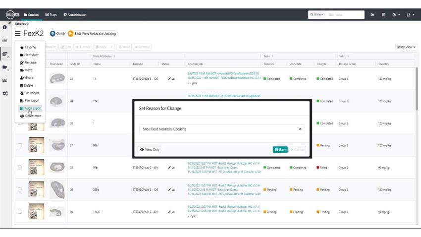 halo-link-RFC_Auditing