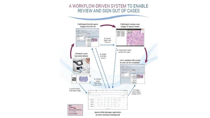 Workflow Efficiency